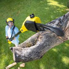 Best Tree and Shrub Care  in Roseland, NJ