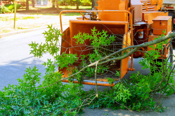 Best Fruit Tree Pruning  in Roseland, NJ