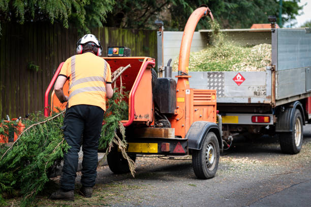 Best Pest Control for Lawns  in Roseland, NJ