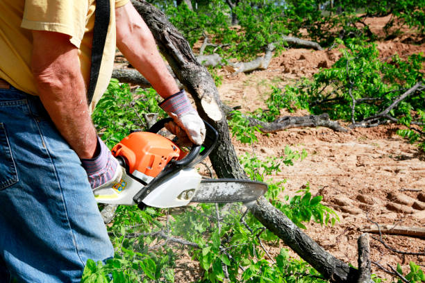Best Soil Testing and Treatment  in Roseland, NJ